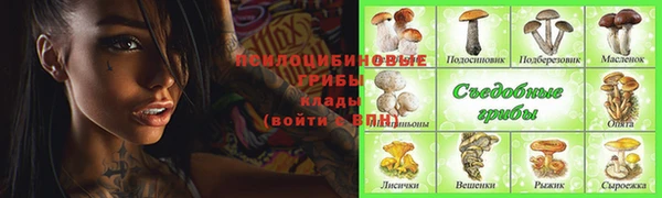 таблы Богородицк