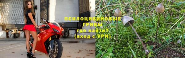 таблы Богородицк