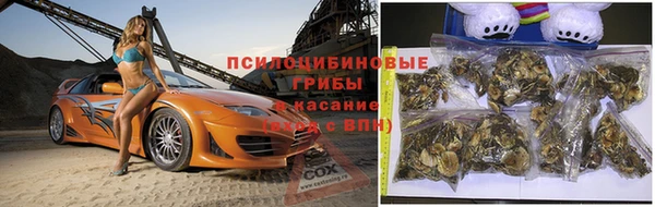 таблы Богородицк