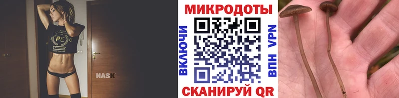 Галлюциногенные грибы Psilocybe Мариинский Посад